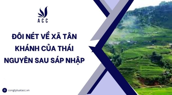 Giới thiệu tổng quan về Tân Khánh: Vị trí địa lý, hành chính, lịch sử hình thành và phát triển của Tân Khánh.
