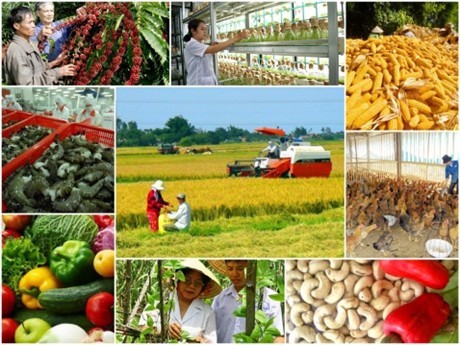 Kinh tế xã Bình Cơ: Nông nghiệp, Thủy sản và Tiềm năng Phát triển